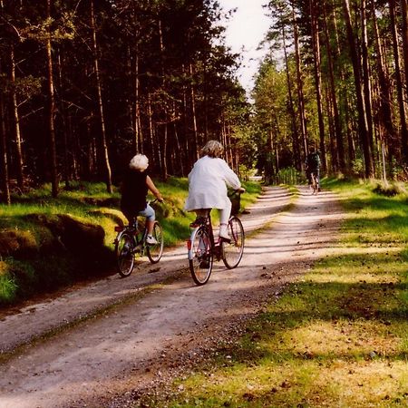Kleine Auszeit - Natur Und Erholung In Mecklenburg Reimershagen Exteriér fotografie