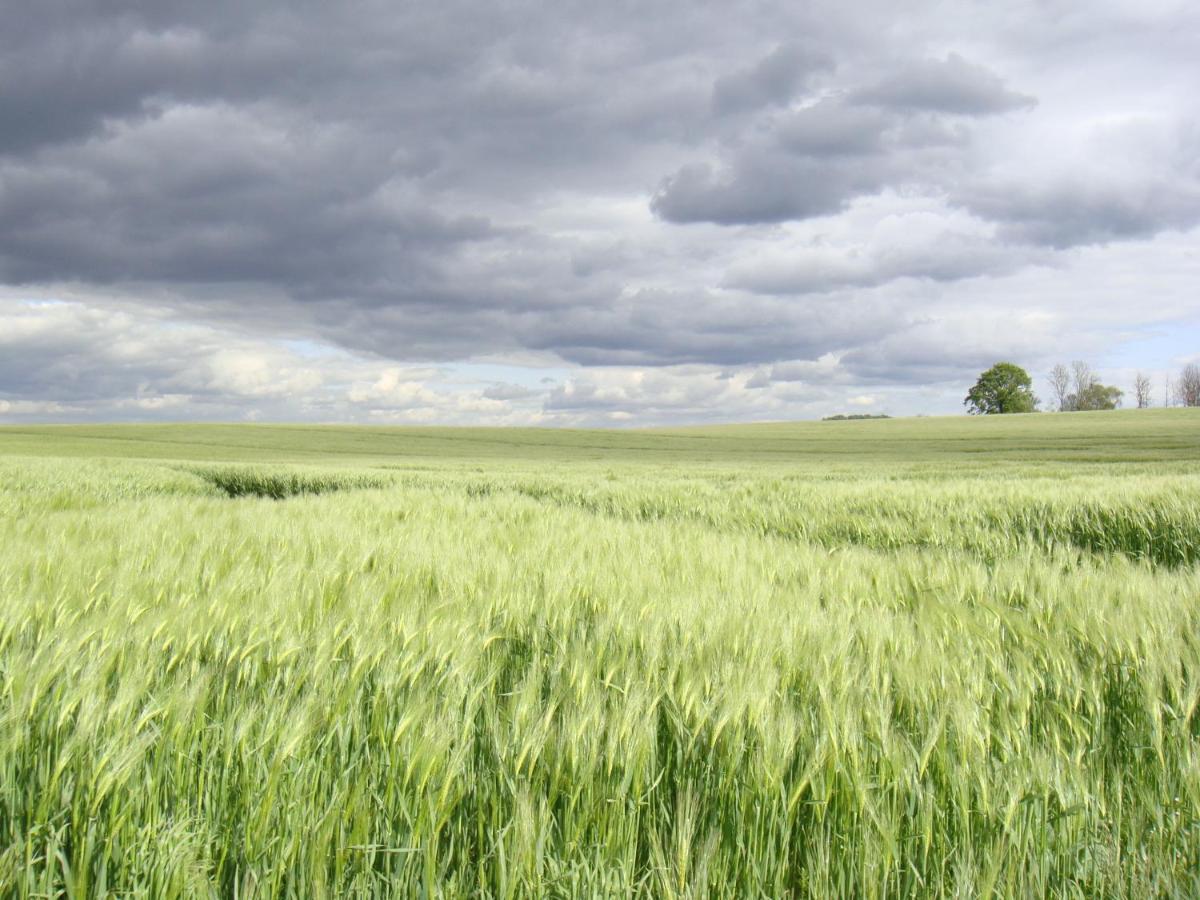 Kleine Auszeit - Natur Und Erholung In Mecklenburg Reimershagen Exteriér fotografie