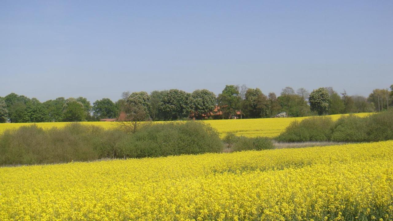 Kleine Auszeit - Natur Und Erholung In Mecklenburg Reimershagen Exteriér fotografie