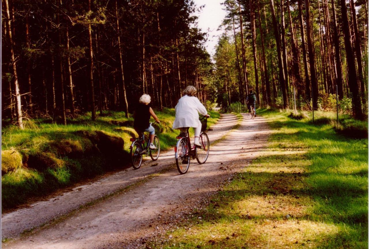 Kleine Auszeit - Natur Und Erholung In Mecklenburg Reimershagen Exteriér fotografie